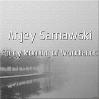Anjey Sarnawski - Foggy Morning of Woodlands