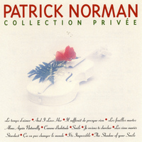 Patrick Norman - Collection privée