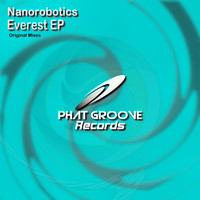Nanorobotics - Everest Ep