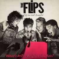 The Flips - What's in the Bright Pink Box