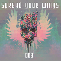 Eagles & Butterflies - Spread Your Wings, Vol. 3