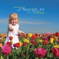 David Nevue - A Delicate Joy