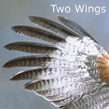 Xelo - Two Wings