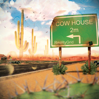 RealityGrid - Cow House