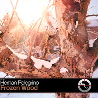 Hernan Pellegrino - Frozen Wood