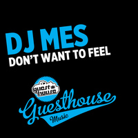 DJ Mes - Don't Want to Feel