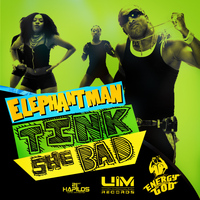 Elephant Man - Tink She Bad - Single