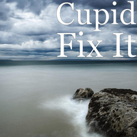 Cupid - Fix It