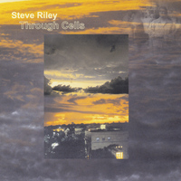 Steve Riley - Through Cells