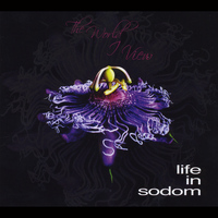 Life in Sodom - The World I View