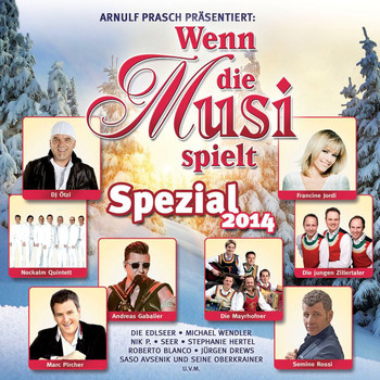 Various Artists - Wenn die Musi spielt - Spezial 2014