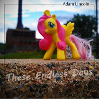 Adam Lincoln - These Endless Days