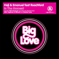 Haji & Emanuel feat. Roachford - In The Moment