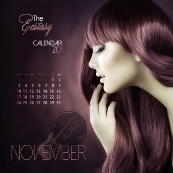 Various Artists - The Ecstasy Calendar 2014: November (Nu Jazz)