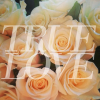 True Love - A Floral Note
