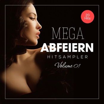 Various Artists - Mega Abfeiern, Vol. 1