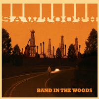Sawtooth - Band in the Woods