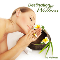 Wellness Guru - Destination Wellness: Calming, Relaxing and Sleeping Music, New Age Soundscapes