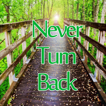 Various Artists - Never Turn Back