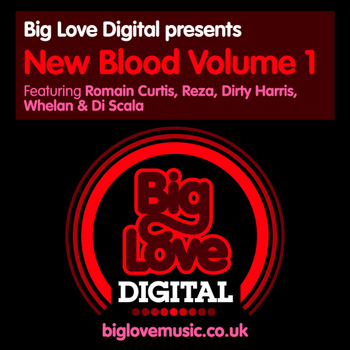 Various Artists - Big Love Digital presents New Blood Vol. 1