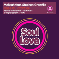 Seamus Haji Presents Mekkah feat. Stephen Granville - Race Of Survival