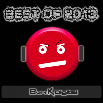 Various Artists - Best of 2013