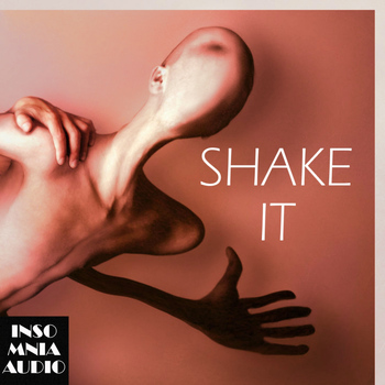 Various Artists - Shake It