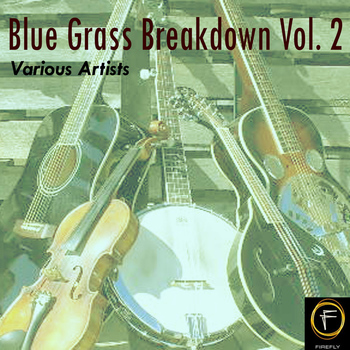 Various Artists - Blue Grass Breakdown, Vol. 2