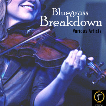 Various Artists - Bluegrass Breakdown