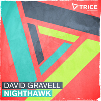 David Gravell - Nighthawk