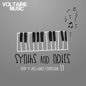 Various Artists - Synths and Notes, Vol. 11 (Deep & Tech House Collection)