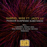 Gabriel Wise - Passion Suspense Substance