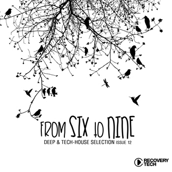 Various Artists - FromSixToNine Issue 12 (Deep & Tech House Selection)