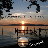 Shympulz - Taming the Time