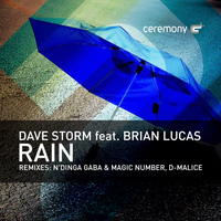 Dave Storm - Rain
