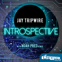 Jay Tripwire - Retrospective EP