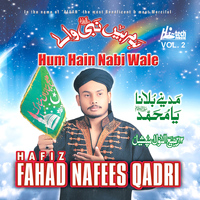 Hafiz Fahad Nafees Qadri - Hum Hain Nabi Wale, Vol. 2 - Islamic Naats