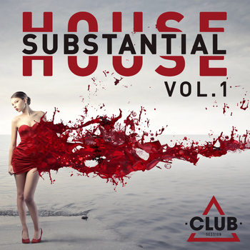 Various Artists - Substantial House, Vol. 1