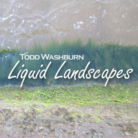 Todd Washburn - Liquid Landscapes