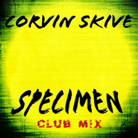 Corvin Skive - Specimen