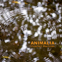 Imperfect Machines - Animalia