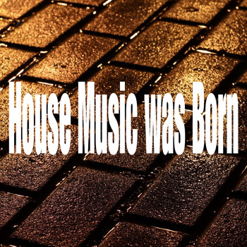 Various Artists - House Music Was Born