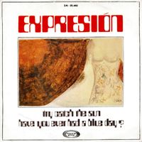 Expresion - Try catch the sun