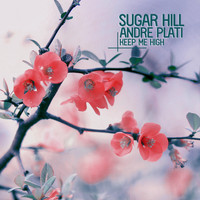 Sugar Hill & Andre Plati - Keep Me High