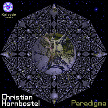Christian Hornbostel - Paradigma
