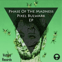 Phase Of The Madness - Pixel Bulwark EP