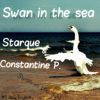 Starque & Constantine P. - Swan In The Sea