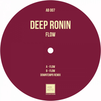 Deep Ronin - Flow