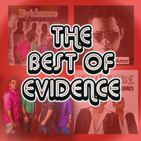 Evidence - The Best Of Evidence