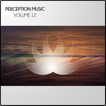 Various Artists - Perception Music Vol 12